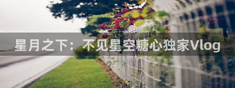 糖心vlog魔仙:星月之下:不见星空糖心