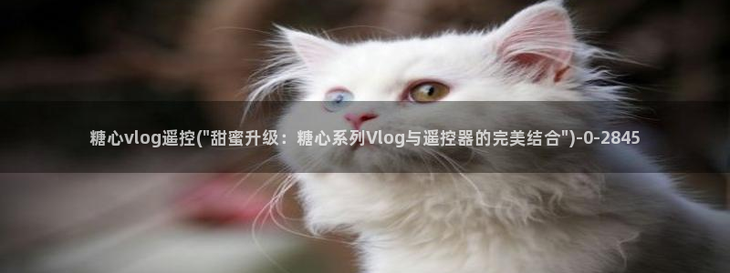 糖心vlog搬运工:糖心vlog遥控(\